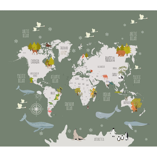 Green Color Worldmap Wallpaper for Kids Rooms, Customised