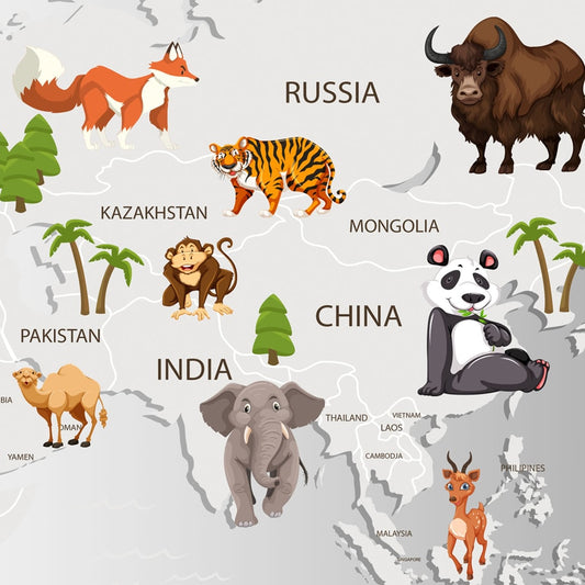 3D Grey Map Design Wallpaper for Kids Room with Animals